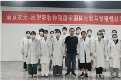民望聯(lián)合南京農(nóng)大持續(xù)開展種豬胴體與繁殖性狀測定與選育